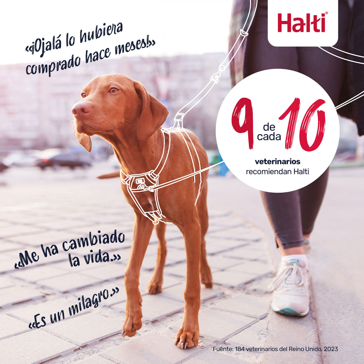 V2HEF383AD75CE7B3871F723C3B8571068ER7523518P10