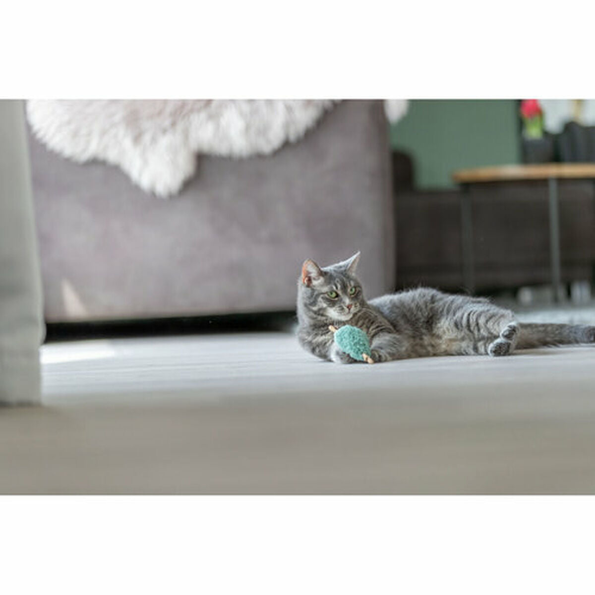 V5H610A02A51D28D642A0307F8556AFDA02R7449402P4