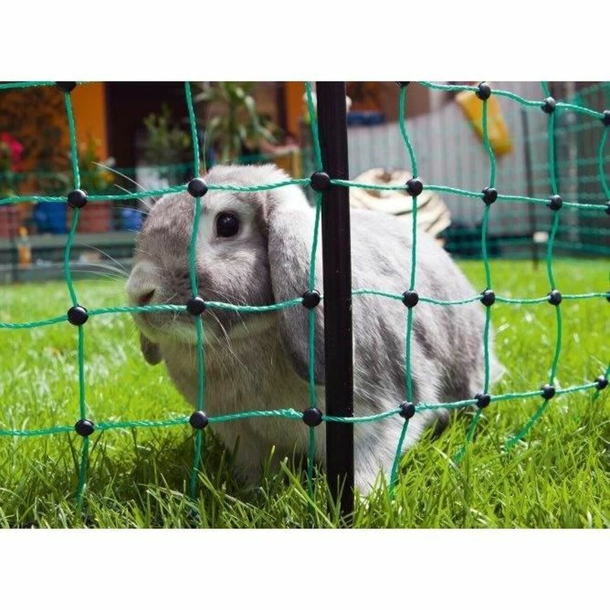 V6H68475CA731D8080C2EDF852B07068BB0R7413689P3