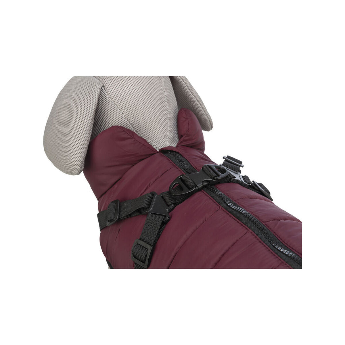 V5HDCFA85A8039CC9A58AB6CF48576DA468R7462901P7