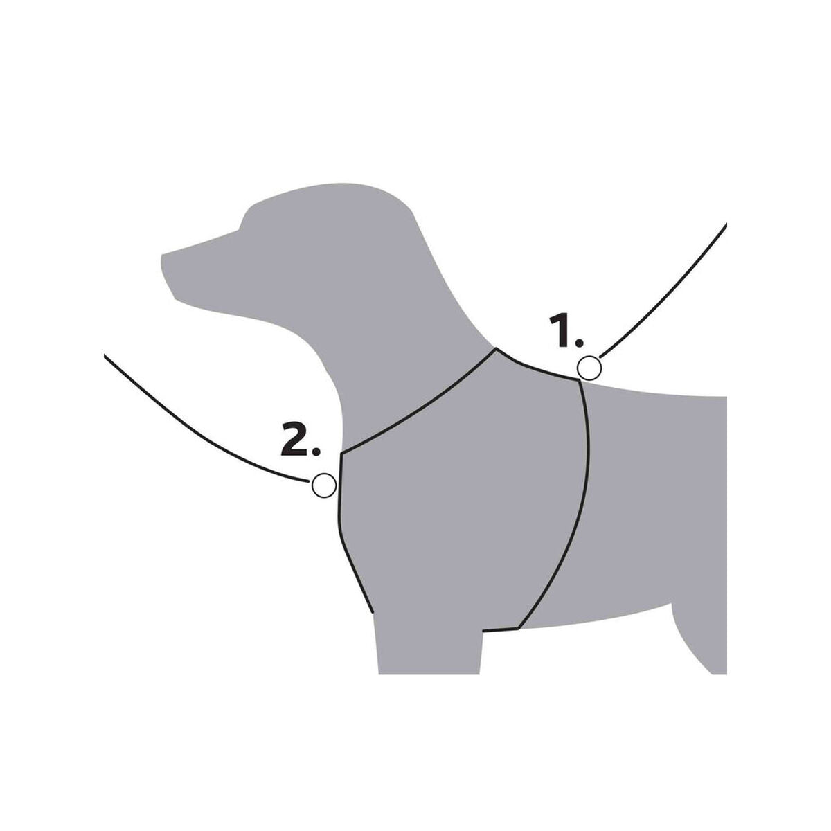 V5H9A490E586BD1AB6D48555D15016D203AR7459022P3