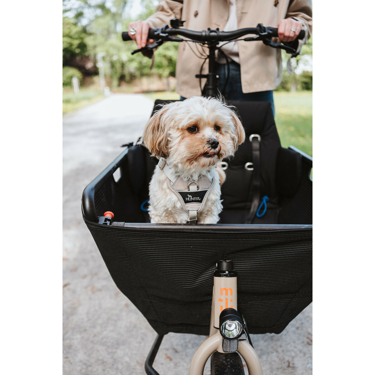 V3HBA0936CD55616C0FFEE96F7F1474EE61R5575653P7