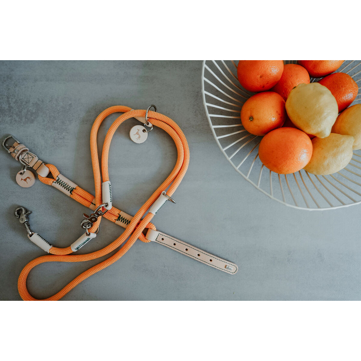 V4H39D350DE167CD09BC24D54A412D0CFB2R5575495P7