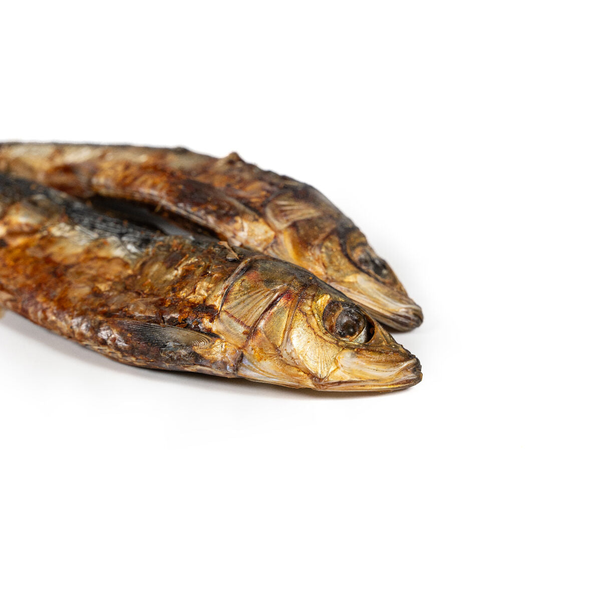 V3H372B865405ADA2DF4EA20D14CAAF4F4BR5292981P2