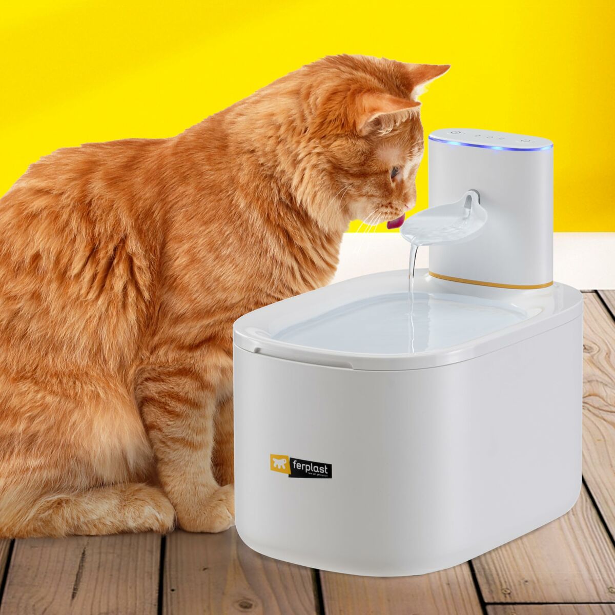 Feeding and Drinking Bowls
