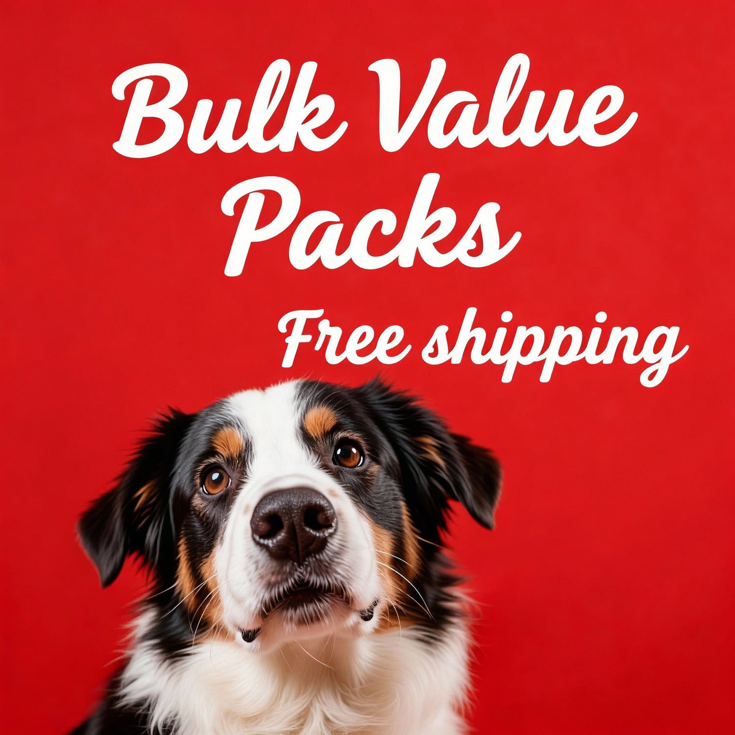 Bulk Value Packs
