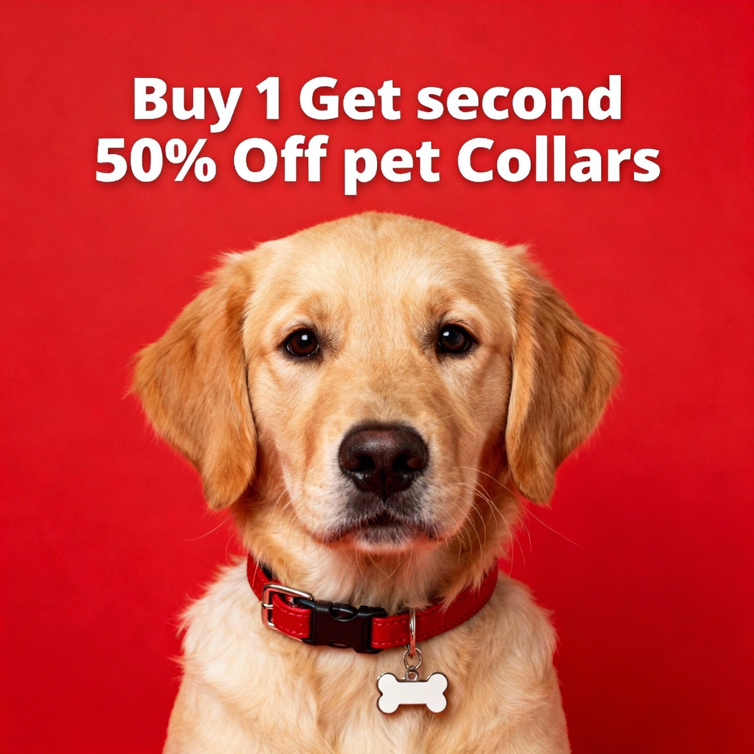 Pet Collars