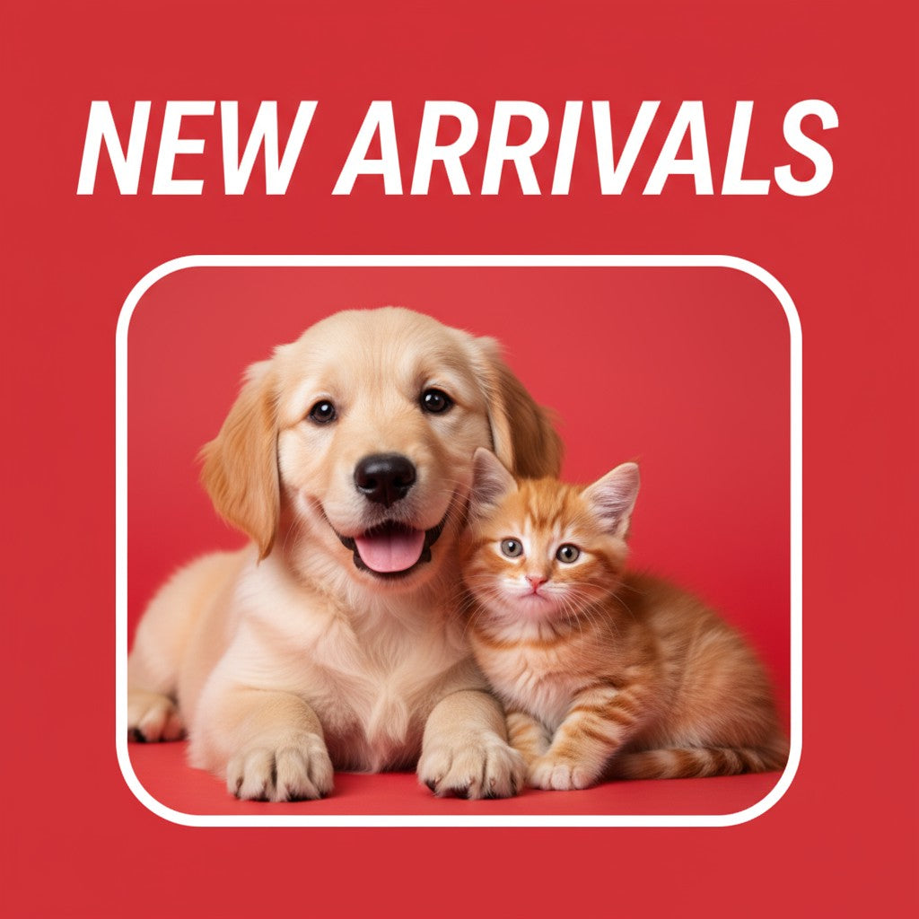 New Arrival