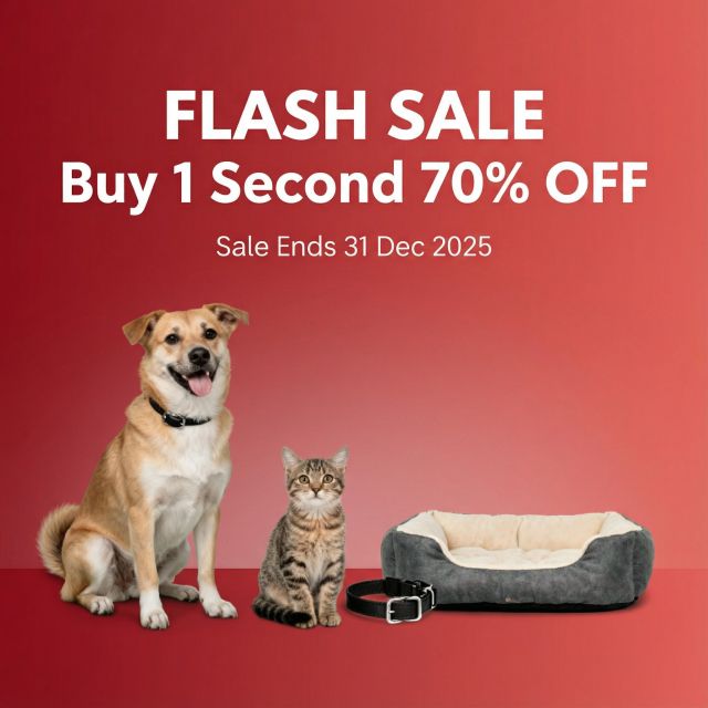 Flash Sale Buy 1 Second 70% OFF