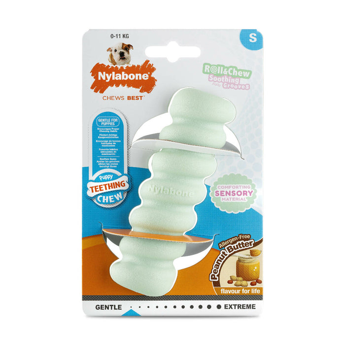 Dog chewing toy Nylabone SENSORY TACTILE STICK Green Peanut butter Bacon S