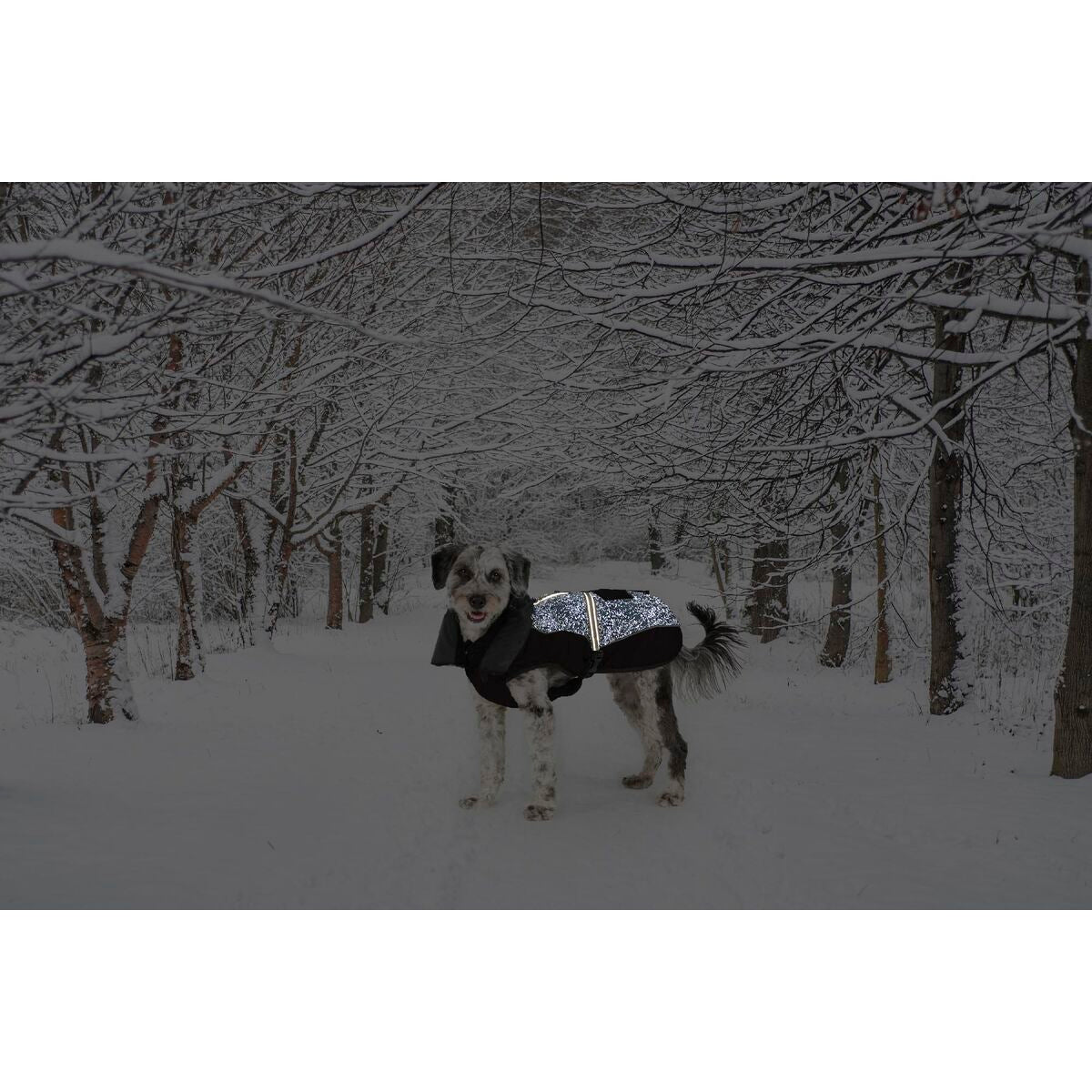 V4HB98D928D7D7E70DBDA1989684C0B8764R5332484P2