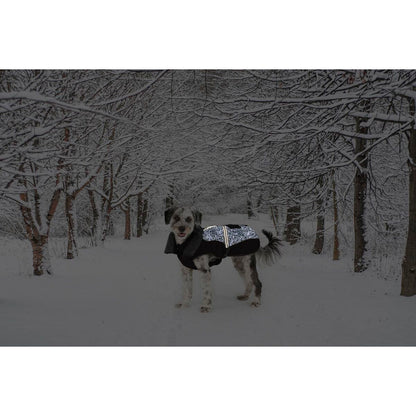 V5HB98D928D7D7E70DBDA1989684C0B8764R5332484P2