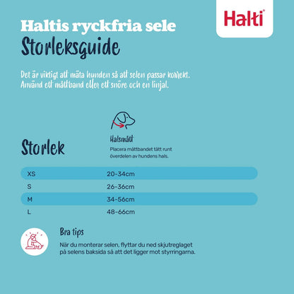 V3H52007B63400EBD0CC2DDED7B839C8582R7523818P5