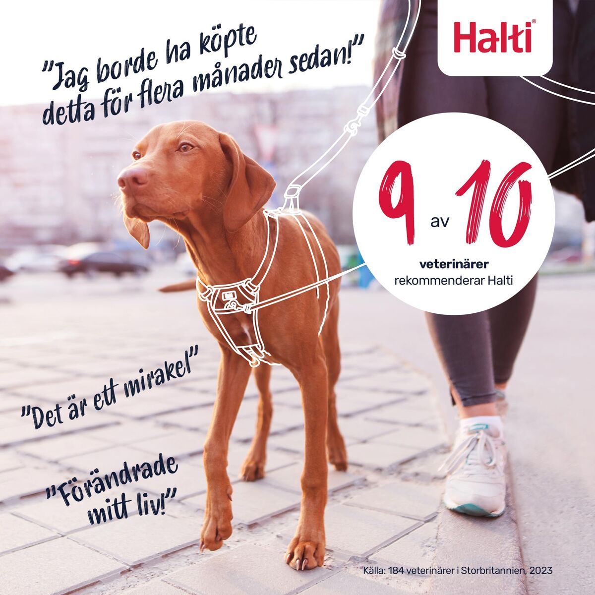 V2HA55370CAB94B4E1802B95B2AC53871B6R7523768P6