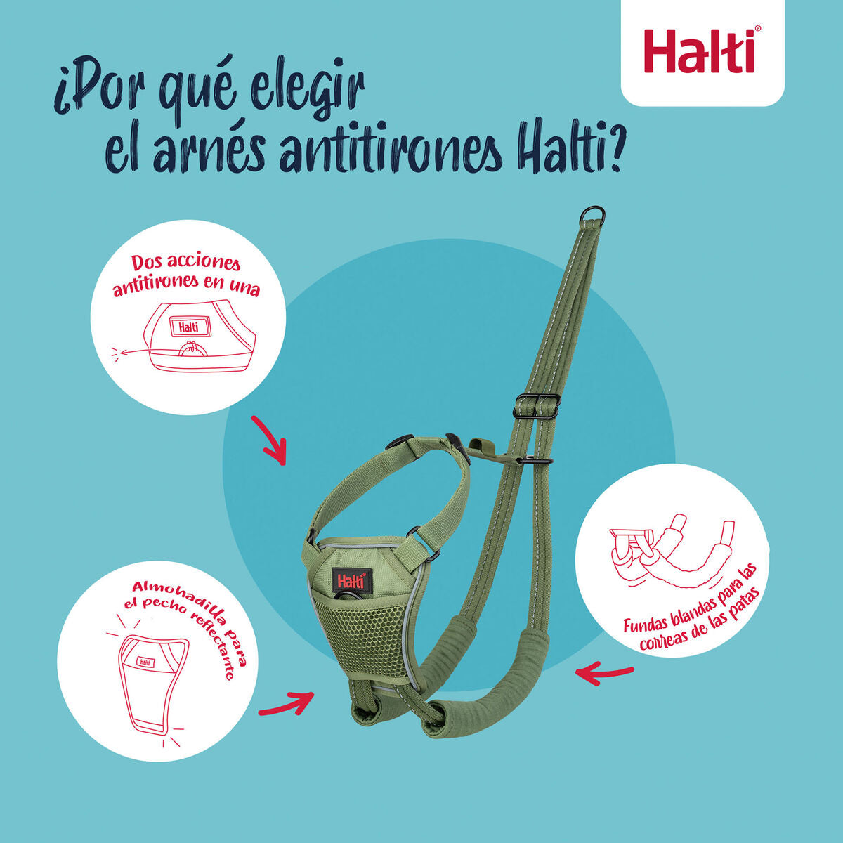 V2H0F7E9A102D1EB91A1CEF8124B12BBBB2R7523711P2