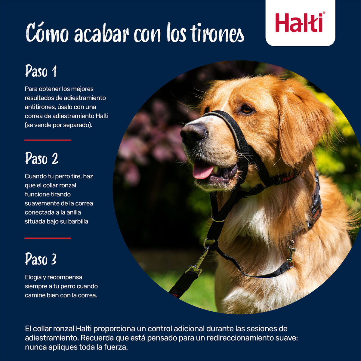 V2HCEB185F71F1D1172EA596F311AF0AA64R7523893P3