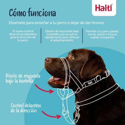 V2HB398BB278016C315CABDFA9C8B4CDA8AR7523895P4