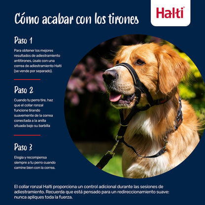 V3HBA278A0F9E4F499DE1EFF139C74B3766R7523894P7