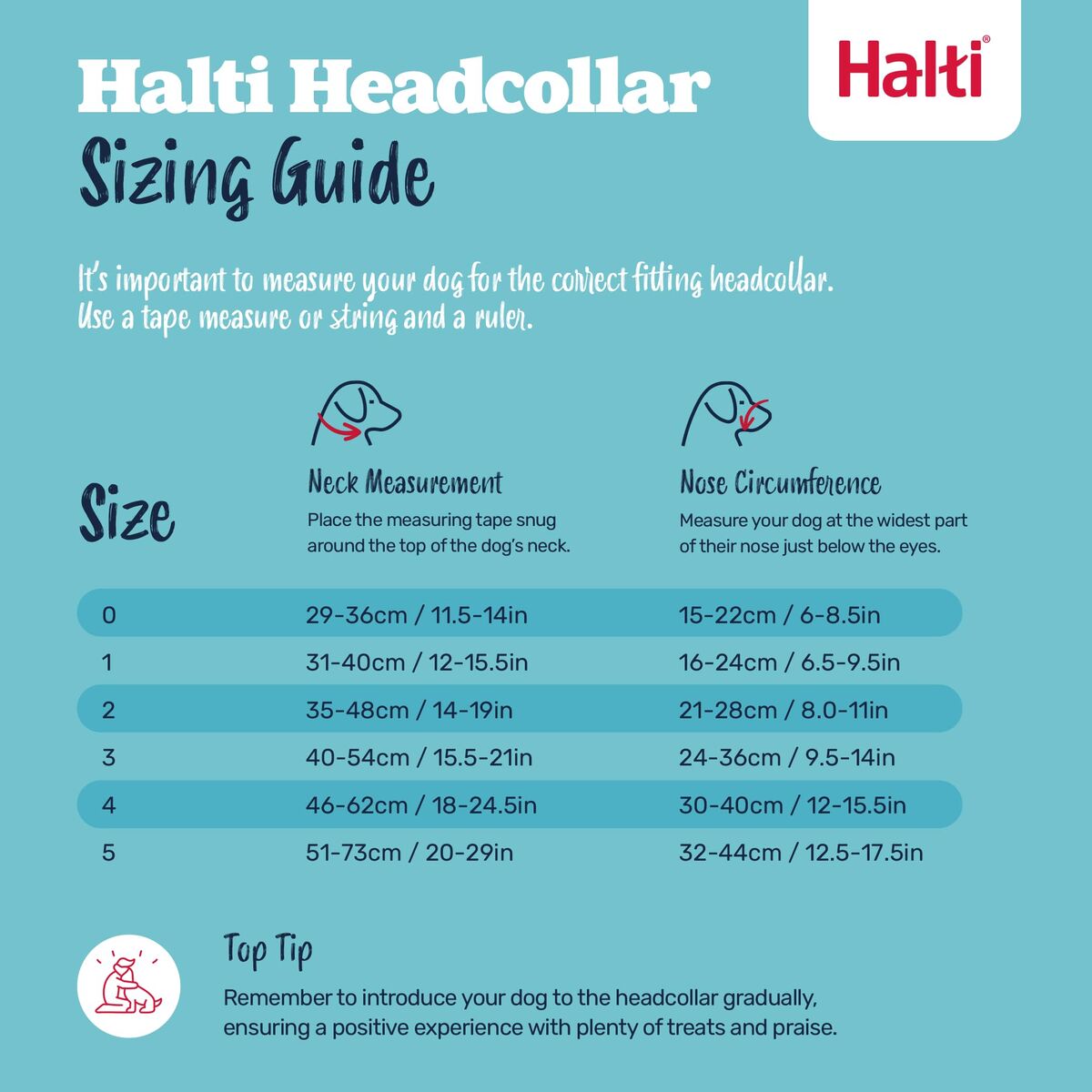 V4H7BBB35B0CEC616FB022B538064F0B354R7523571P5