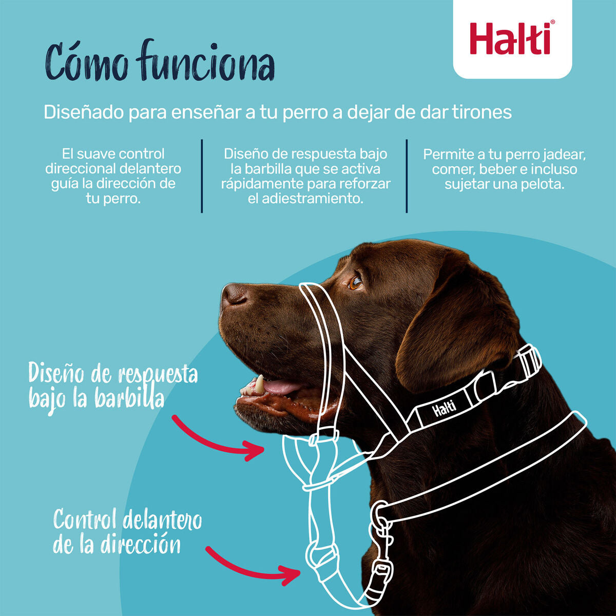 V2H870AC9D1E9D5AA3944835B2BC3F4D98FR7523575P9