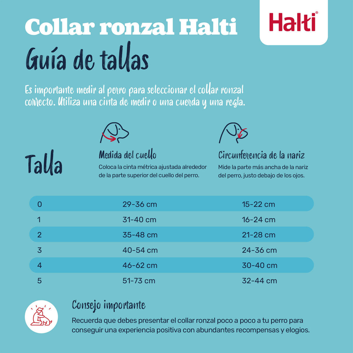 V3H0F58311491433F6004C36C3F6BE36177R7523547P4