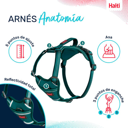 V4HF24912125C20847318534F4EA6E3DEF1R5328467P3