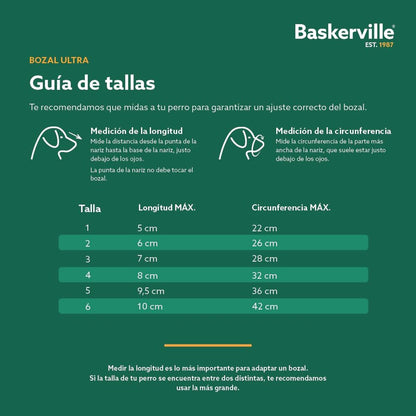 V4H1FC23208BB6219284408247D656B5D44R5327519P5