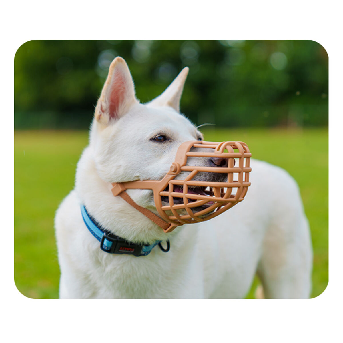 V4H0B97ABD29CAF12FE33D6E22C50F59A2CR5327514P3