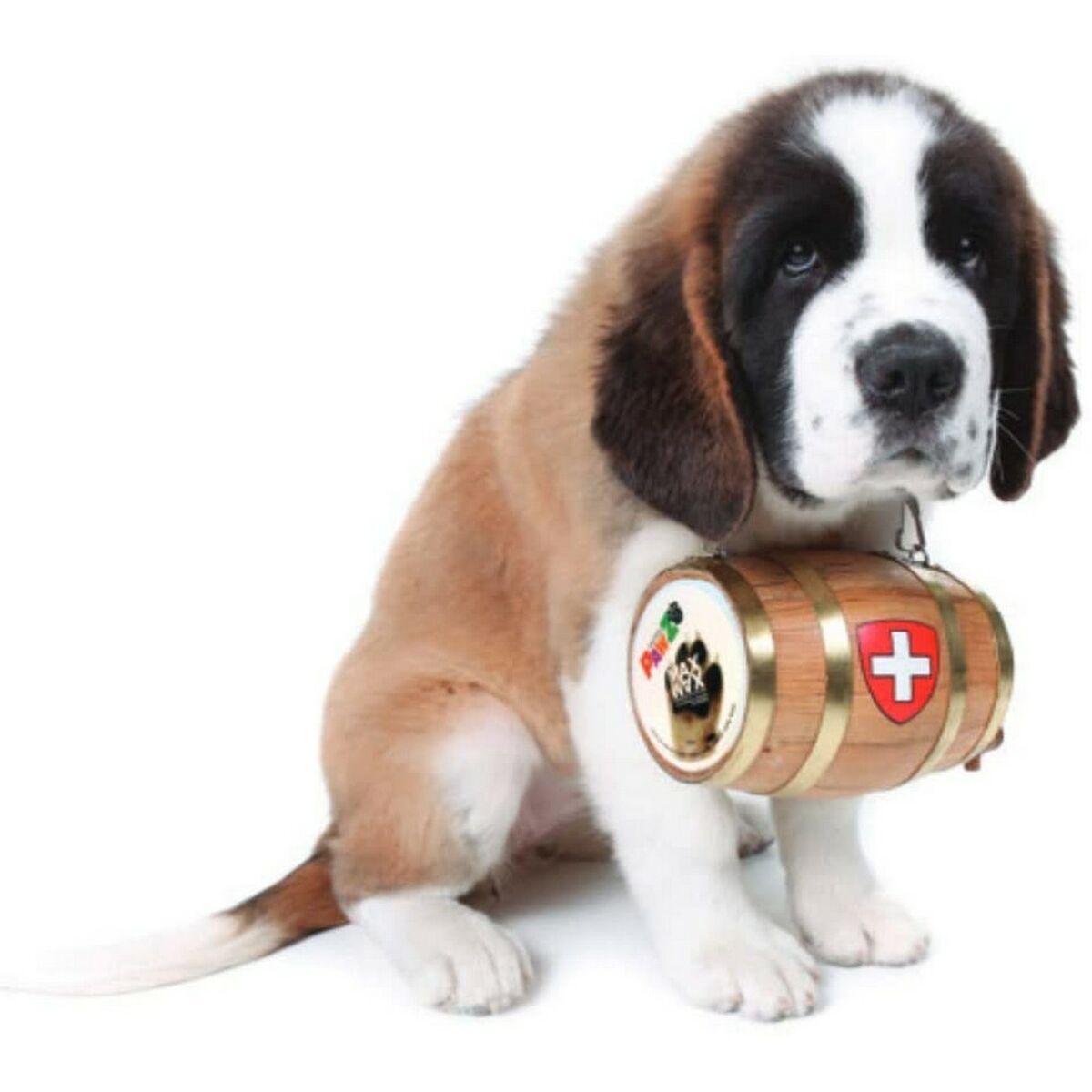 V4HBC1FDDB34CD1E94C5ED1F6384DA6DD89R5595053P7