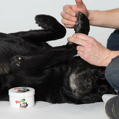 V5HF118DCA89546522789B2CF31AB0A821DR5595054P8