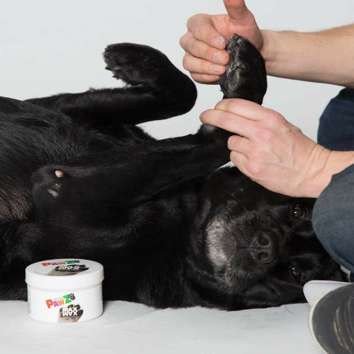 V4HF118DCA89546522789B2CF31AB0A821DR5595054P8