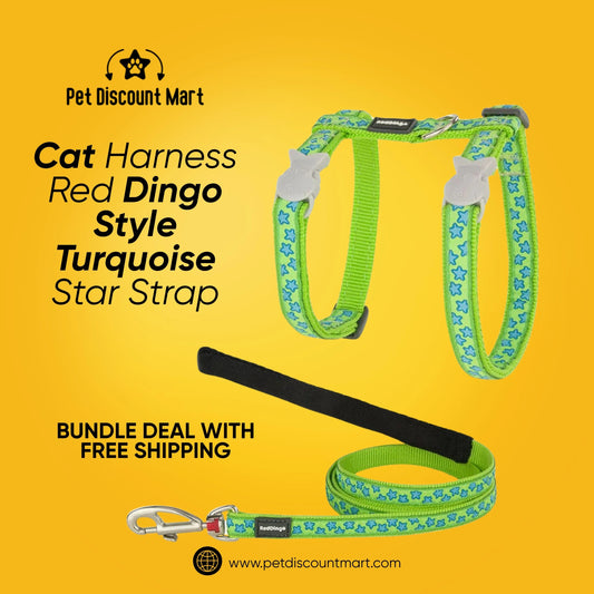 Cat Harness Red Dingo Style Turquoise Star Strap