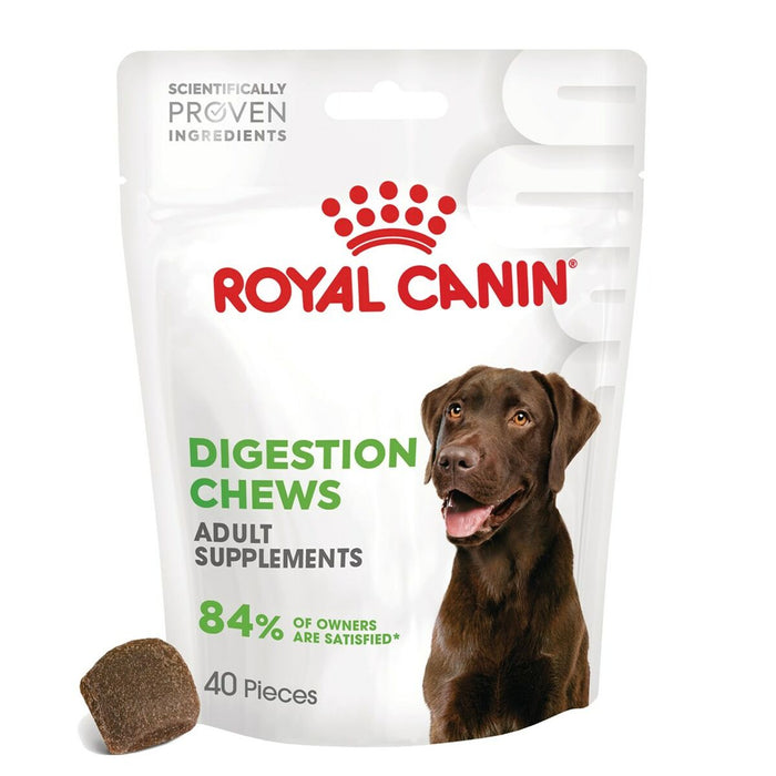 Dog Snack Royal Canin Supplements Dog Digestion Adult 160 g
