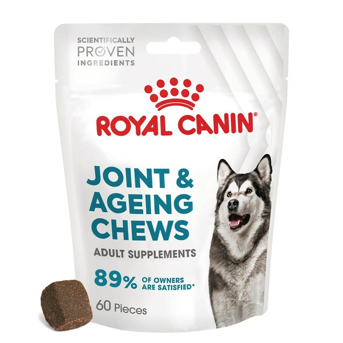Dog Snack Royal Canin Supplements Dog Joint & Ageing Adult 240 g