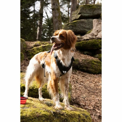 V7HE6D4EB4CFDE231B7B26C46AFF29045E1R5293575P6