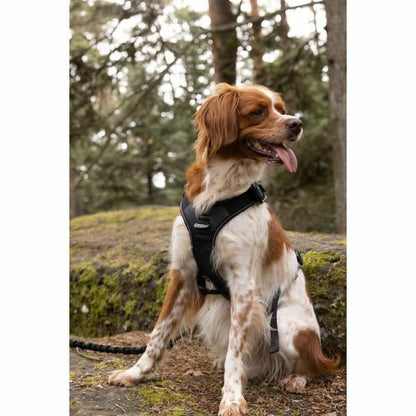 V6HBA93ED778B6190D5A1B4DD6065A2AE09R5293644P3