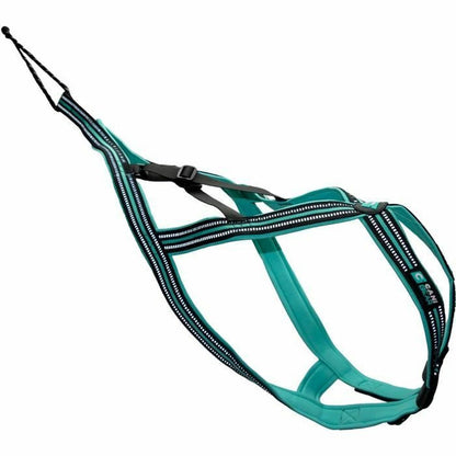 V6H5D9E23F17F7B70E7A1262FBDA301567ER5293619P2