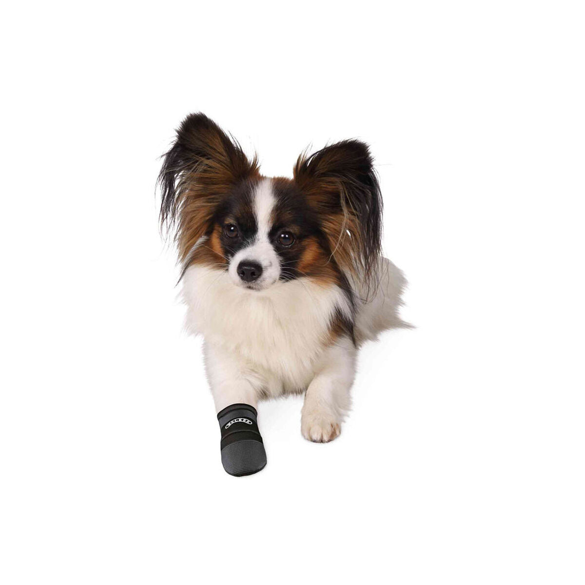 V5H06DF7C079ACC00966AFAA5AA969C3464R7440607P3