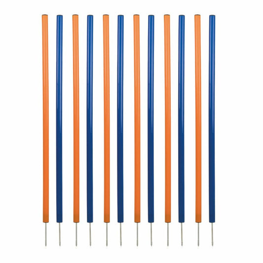 V5H0E1D33632766FA60CE1E5A698BCAF1E9R5763181P1