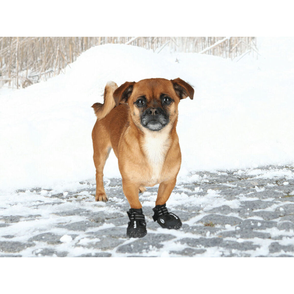 V5HF3E5F1D5EA32A97C385B26C6105FBDA9R7440386P3