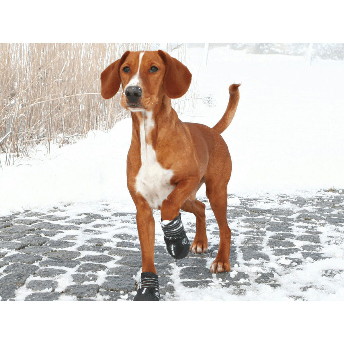 V5H07C6F3B8E62174635DD2700689798F62R7439855P3