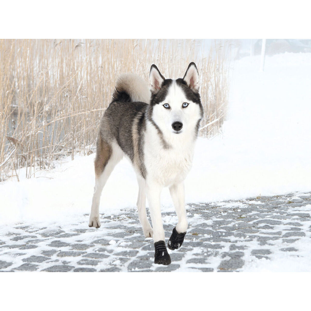 V5HA095589771909CE87CA612543B1123ACR7439897P3