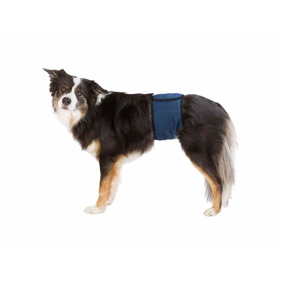 V7HF60D727B9DB340049CE6FF144F496548R7444142P1