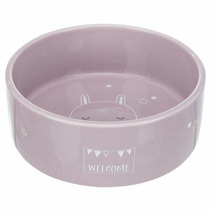 V9HD002E34E80AC00AC21F45D4D6E35BE62R7452568P2