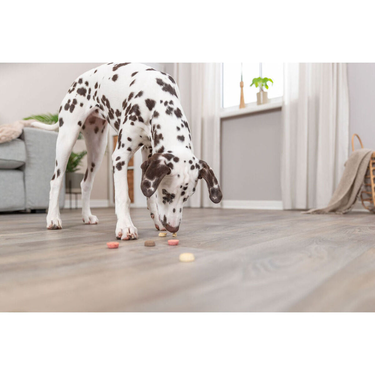 V6H532AA1883D38EBBD43BC4586880C599CR7459425P4