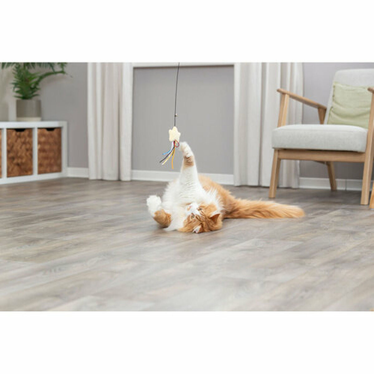 V7HDB2E589D70DC8061B439DD6373C95934R7459568P6