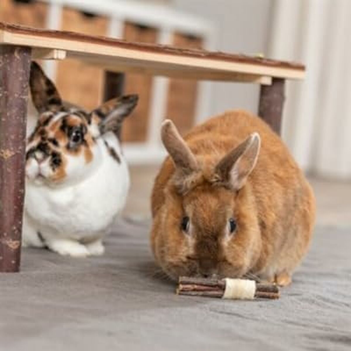 V7HC5063DB3A7E0F5BD938DB77AF22CCB0CR5448869P2