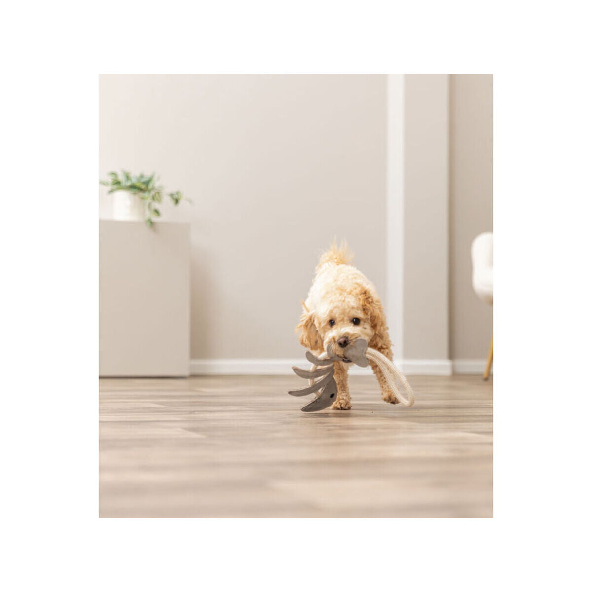 V5H0DF926E00BC16187AF4192217DC16A7ER7463016P5