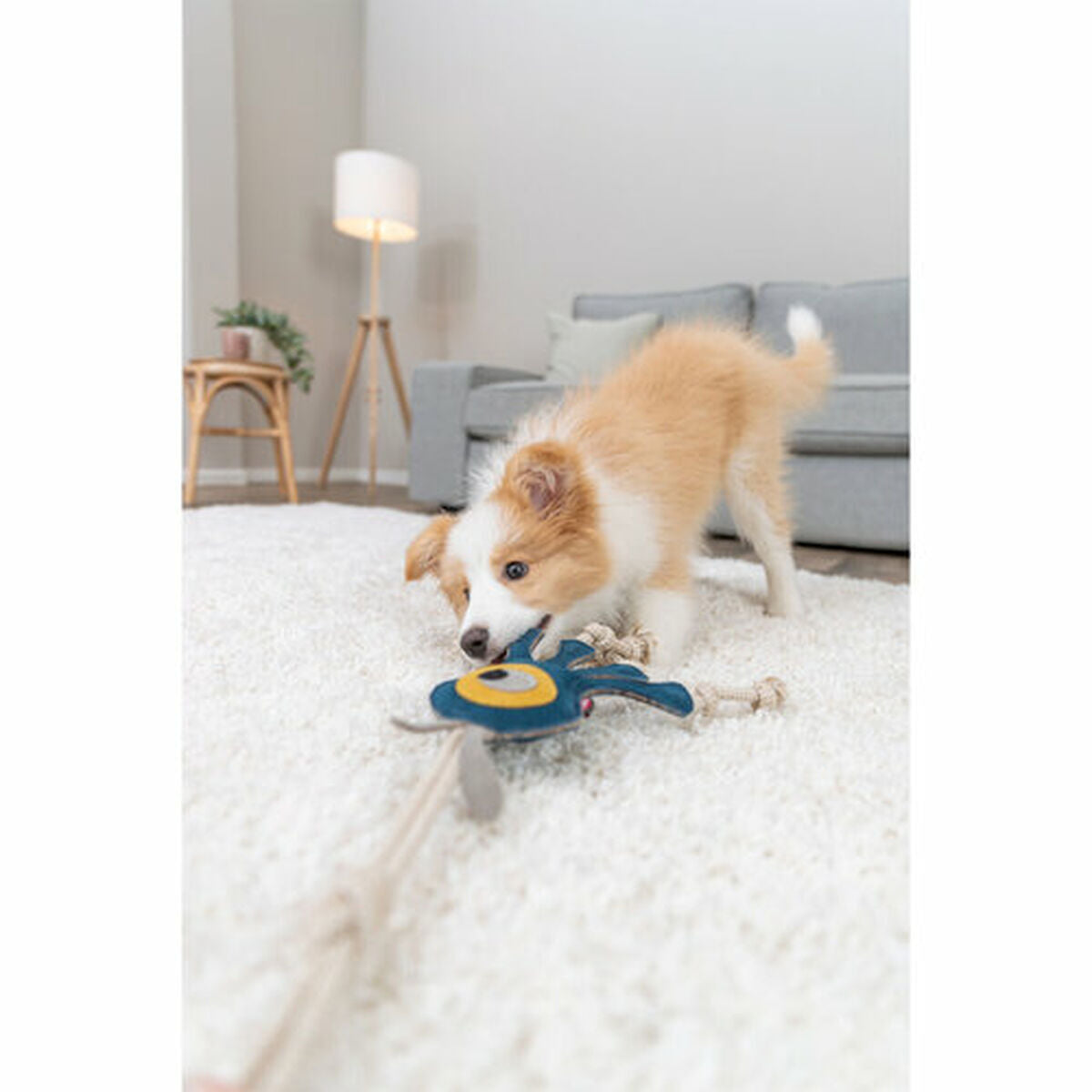 V5HA48C104ED267DFD20D34DBCEF6823D2FR7449073P6