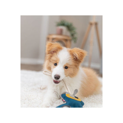 V5HB53EF1050D83286EF7A747E9EAC37AA0R7449075P7